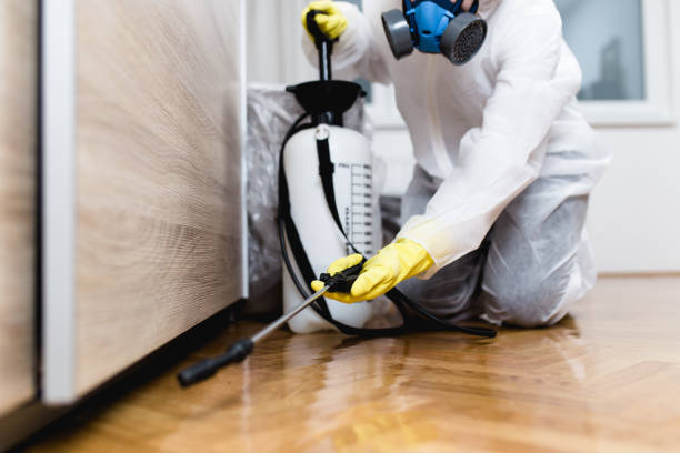 Best Local Pest Control Services  in Whiskey Creek, FL