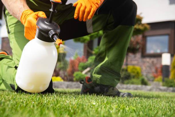 Best Best Pest Control Companies  in Whiskey Creek, FL
