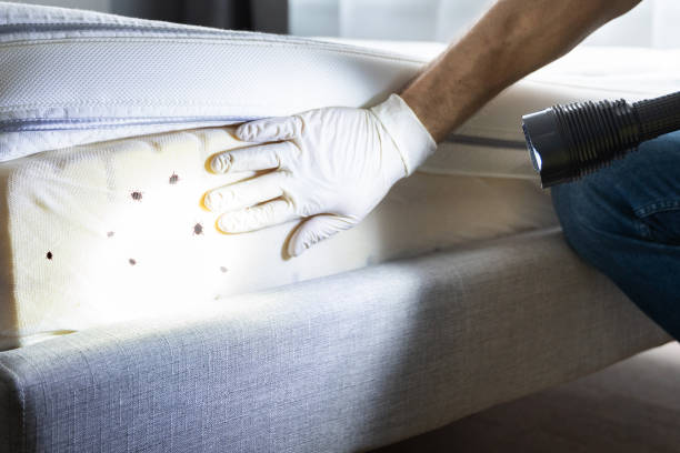 Pest Control for Restaurants in Whiskey Creek, FL