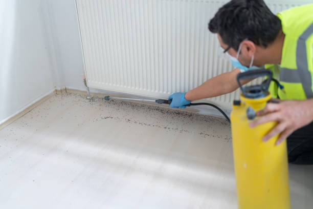 Best Pest Prevention Services  in Whiskey Creek, FL